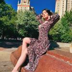 totosa fereult Profile Picture