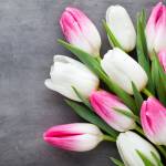 Василина Шелемончак Profile Picture