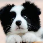 ruber edwin profile picture