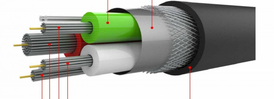 Wapda Town Lahore Cover Image