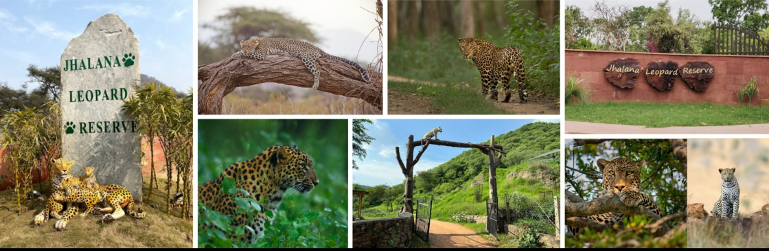 Anil Sinha Cover Image