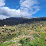 Greece Invests Profile Picture